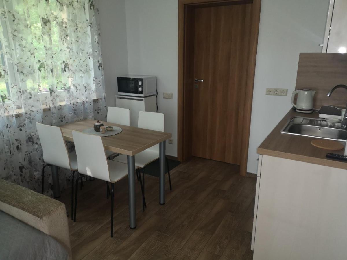 Kristinos Apartment Druskininkai Bagian luar foto