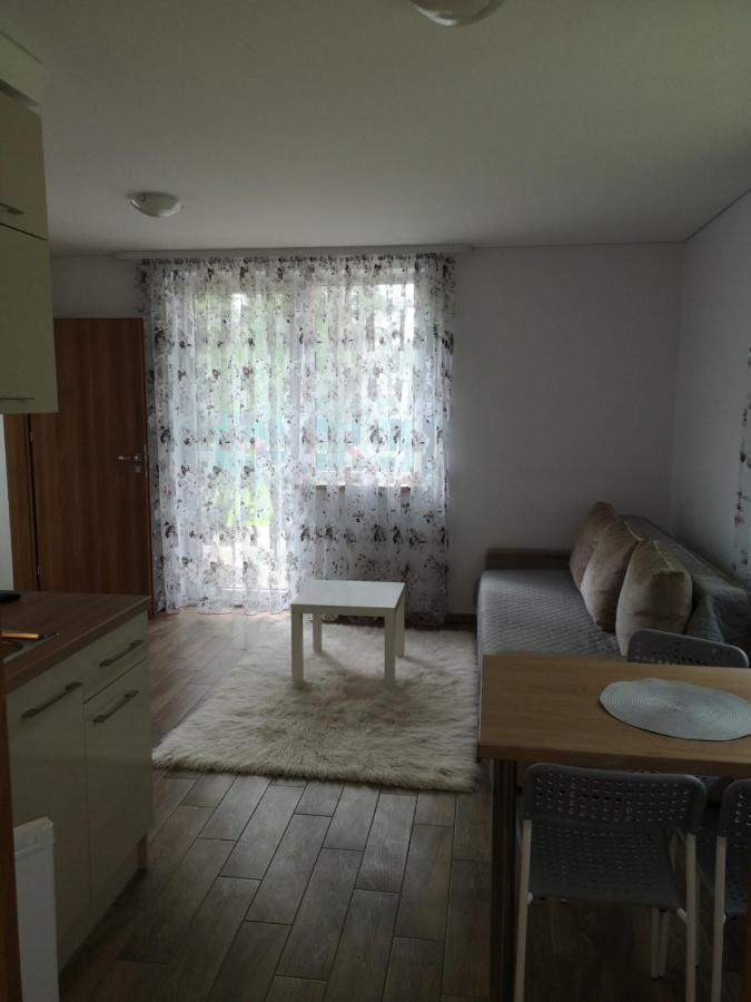 Kristinos Apartment Druskininkai Bagian luar foto