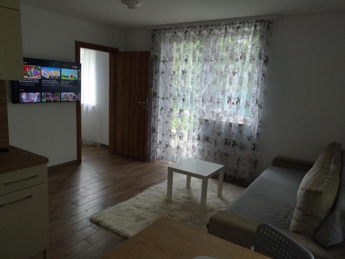 Kristinos Apartment Druskininkai Bagian luar foto