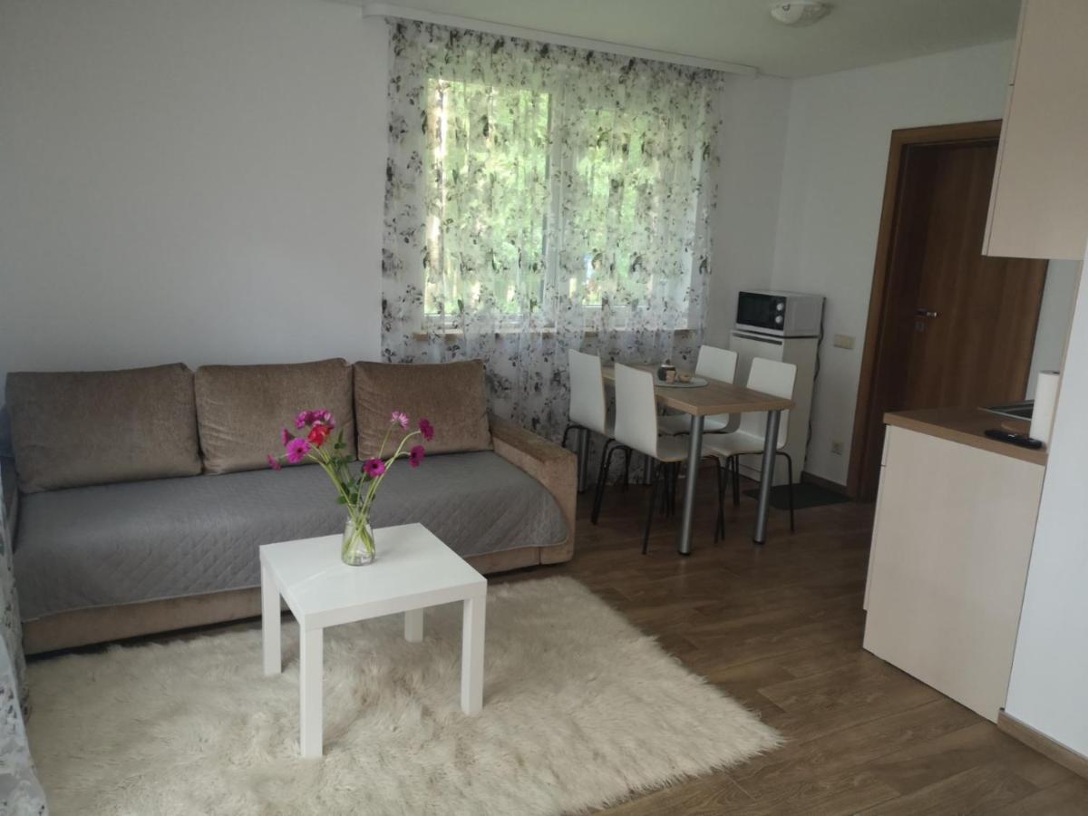 Kristinos Apartment Druskininkai Bagian luar foto