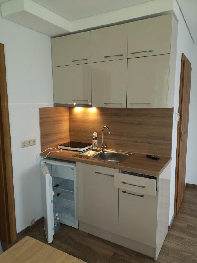 Kristinos Apartment Druskininkai Bagian luar foto