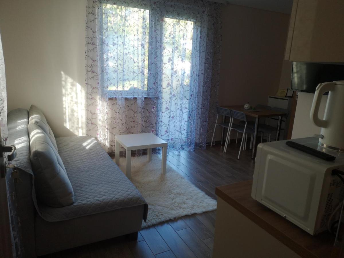 Kristinos Apartment Druskininkai Bagian luar foto